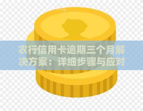 农行信用卡逾期三个月解决方案：详细步骤与应对策略
