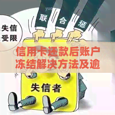 信用卡还款后账户冻结解决方法及逾期资讯