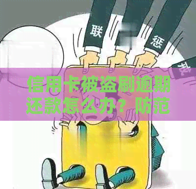信用卡被盗刷逾期还款怎么办?防范措与解决方法一览 信用卡被盗刷逾期还款怎么办?防范措与解决方法一览