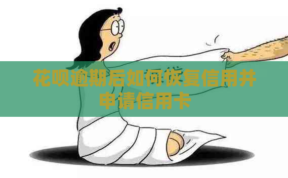 信用卡逾期后如何恢复信用并申请信用卡