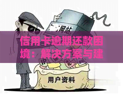 信用卡逾期还款困境：解决方案与建议