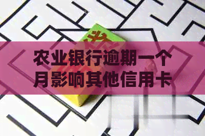 农业银行逾期一个月影响其他信用卡提额吗-农业银行逾期一个月影响其他信用卡提额吗 农业银行逾期一个月影响其他信用卡提额吗-农业银行逾期一个月影响其他信用卡提额吗