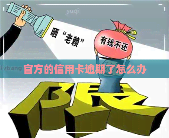 官方的信用卡逾期了怎么办