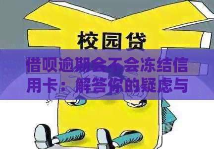 网贷逾期会不会冻结信用卡：解答你的疑虑与担忧
