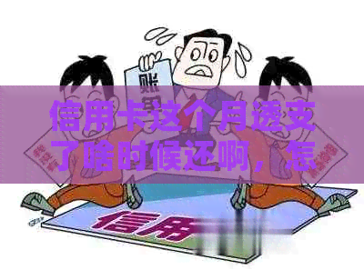 信用卡这个月透支了啥时候还啊，怎么查，怎么回事？