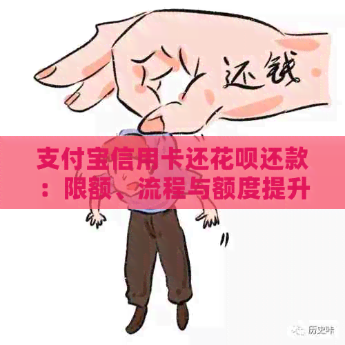支付宝信用卡还信用卡还款：限额、流程与额度提升全解析