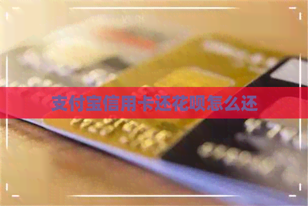 支付宝信用卡还信用卡怎么还