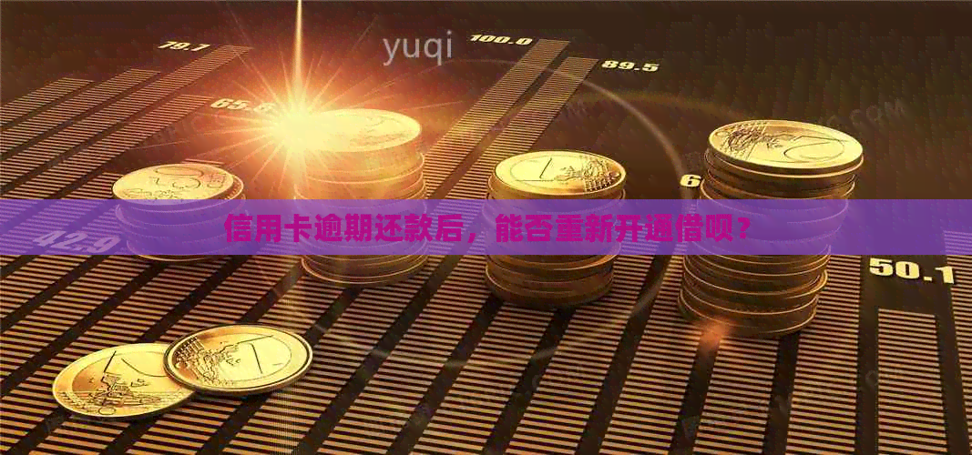 信用卡逾期还款后，能否重新开通网贷？