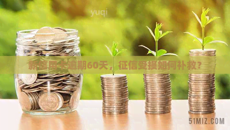 新信用卡逾期60天，受损如何补救？