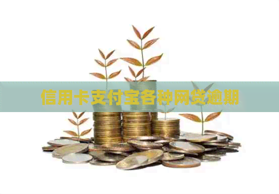 信用卡支付宝各种网贷逾期