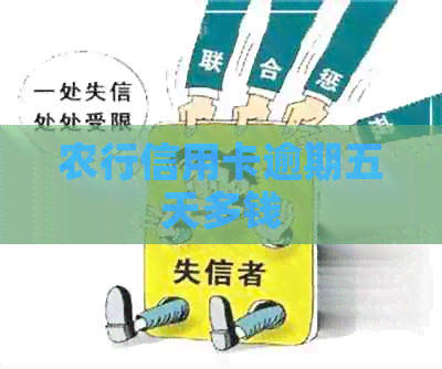 农行信用卡逾期五天多钱