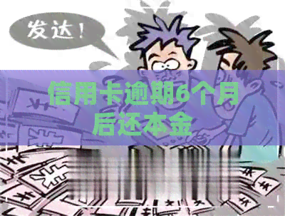 信用卡逾期6个月后还本金