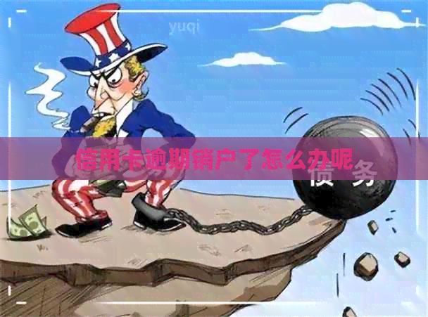 信用卡逾期销户了怎么办呢