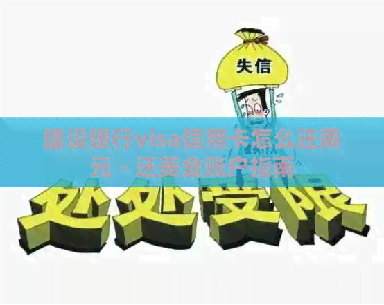 建设银行visa信用卡怎么还美元 - 还美金账户指南
