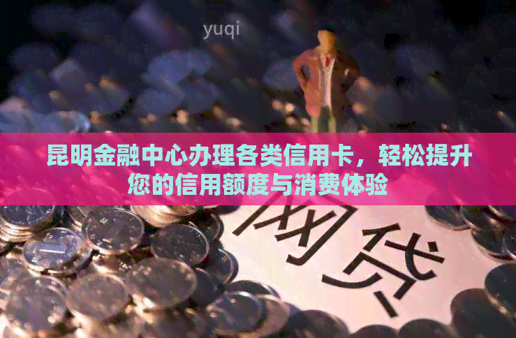 昆明金融中心办理各类信用卡，轻松提升您的信用额度与消费体验