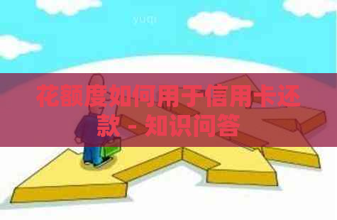 花额度如何用于信用卡还款 - 知识问答