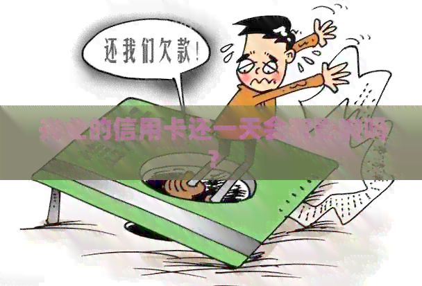 兴业的信用卡还一天会有影响吗？