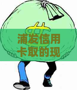 浦发信用卡取的现金怎么还