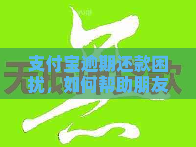 支付宝逾期还款困扰，如何帮助朋友避免信用卡套路？