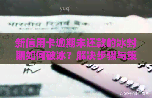 新信用卡逾期未还款的冰封期如何破冰？解决步骤与策略全解析
