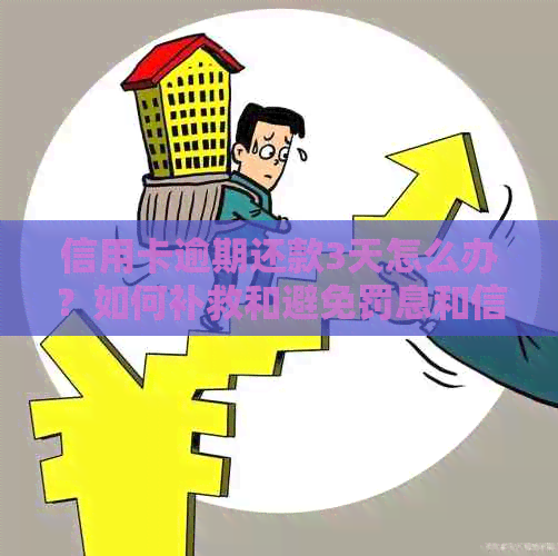 信用卡逾期还款3天怎么办？如何补救和避免罚息和信用损失？