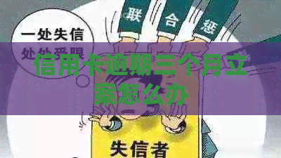 信用卡逾期三个月立案怎么办