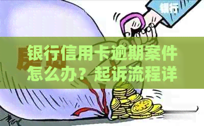 银行信用卡逾期案件怎么办？起诉流程详解
