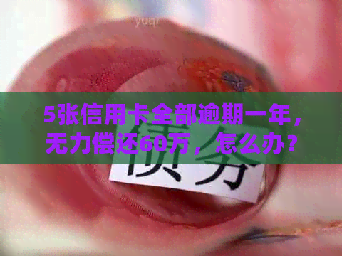 5张信用卡全部逾期一年,无力偿还60万,怎么办? 5张信用卡全部逾期一年,无力偿还60万,怎么办?
