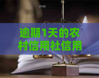 逾期1天的农村信用社信用卡会产生什么影响？