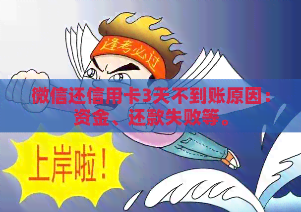 微信还信用卡3天不到账原因：资金、还款失败等。