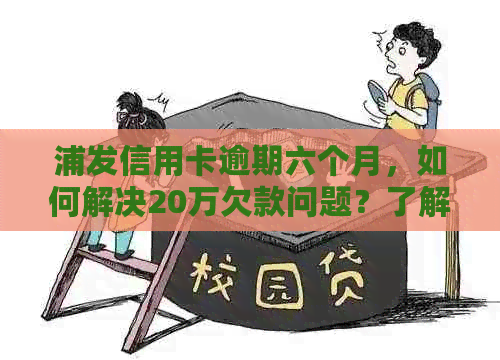 浦发信用卡逾期六个月，如何解决20万欠款问题？了解详细步骤和应对策略