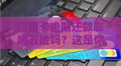 信用卡逾期还款影响五险吗？这是你需要知道的关键信息