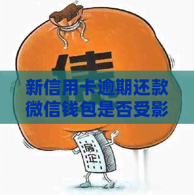 新信用卡逾期还款微信钱包是否受影响？探讨常见疑问与解决方案