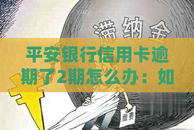 平安银行信用卡逾期了2期怎么办：如何处理逾期还款并避免影响信用记录。