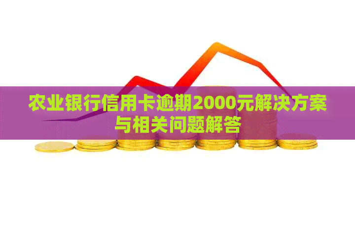 农业银行信用卡逾期2000元解决方案与相关问题解答