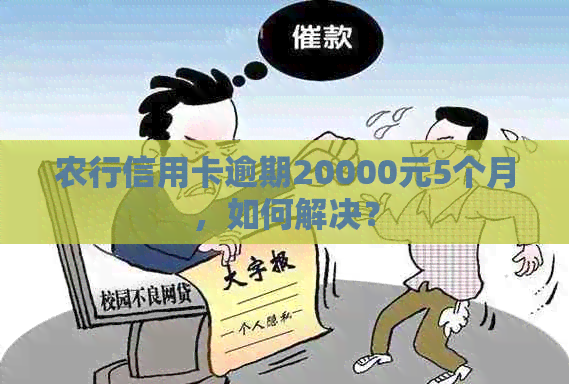 农行信用卡逾期20000元5个月,如何解决? 农行信用卡逾期20000元5个月,如何解决?