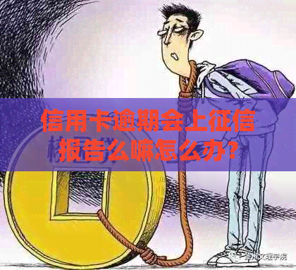 信用卡逾期会上报告么嘛怎么办？