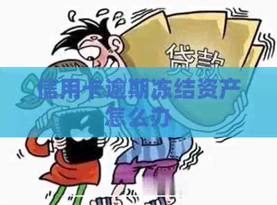 信用卡逾期冻结资产怎么办
