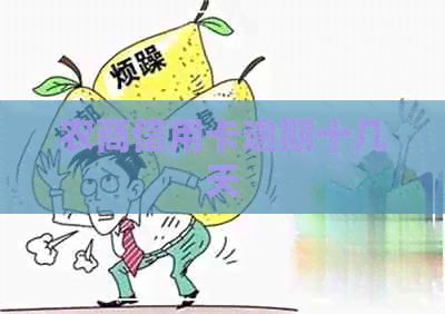 农商信用卡逾期十几天