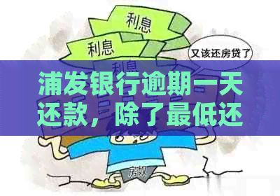 浦发银行逾期一天还款，除了更低还款额外，还有哪些还款方式可选？