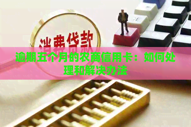 逾期五个月的农商信用卡：如何处理和解决办法