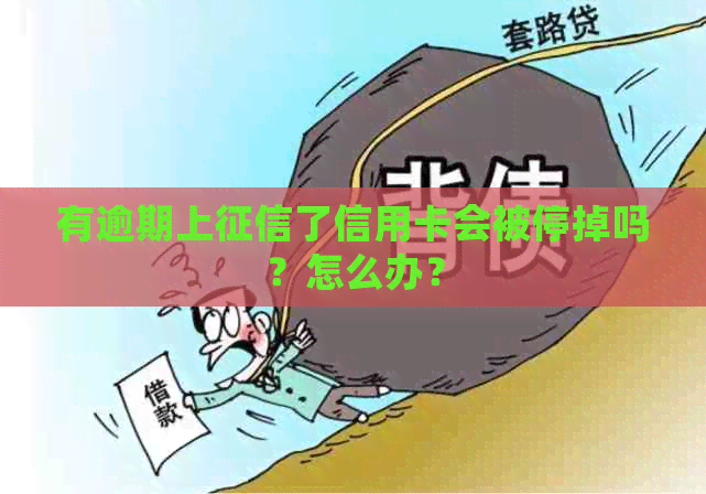 有逾期上了信用卡会被停掉吗？怎么办？