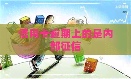 信用卡逾期上的是内部