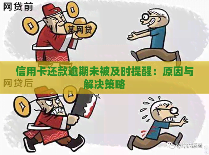 信用卡还款逾期未被及时提醒：原因与解决策略