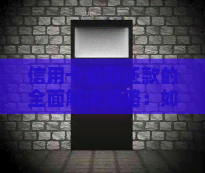 信用卡逾期还款的全面解决策略：如何应对一万块逾期费用及其它相关问题