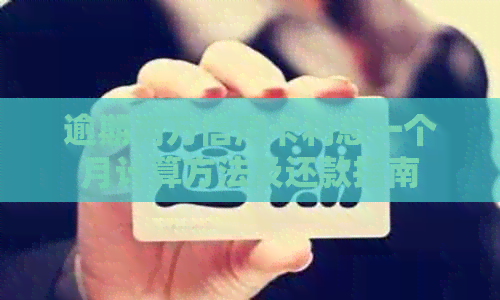 逾期两万信用卡利息一个月计算方法及还款指南