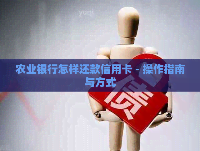 农业银行怎样还款信用卡 - 操作指南与方式