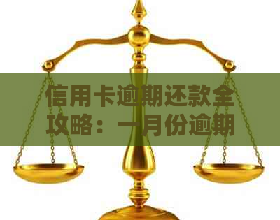 信用卡逾期还款全攻略：一月份逾期解决方法与相关影响解析