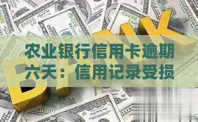 农业银行信用卡逾期六天：信用记录受损的风险和应对策略