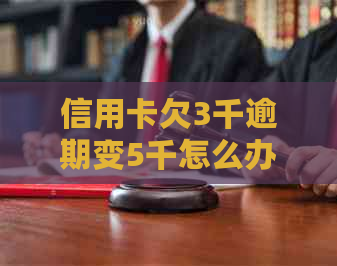 信用卡欠3千逾期变5千怎么办？